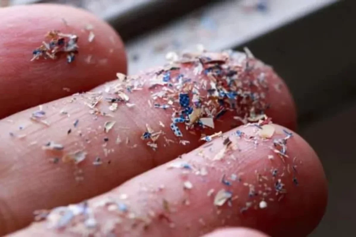 Mikroplastiklər ilk dəfə insan yumurtalıq mayesində tapıldı