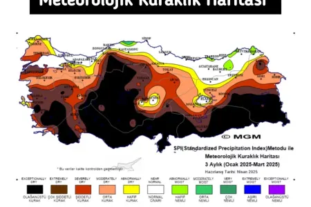 Türkiyə təhlükədədir