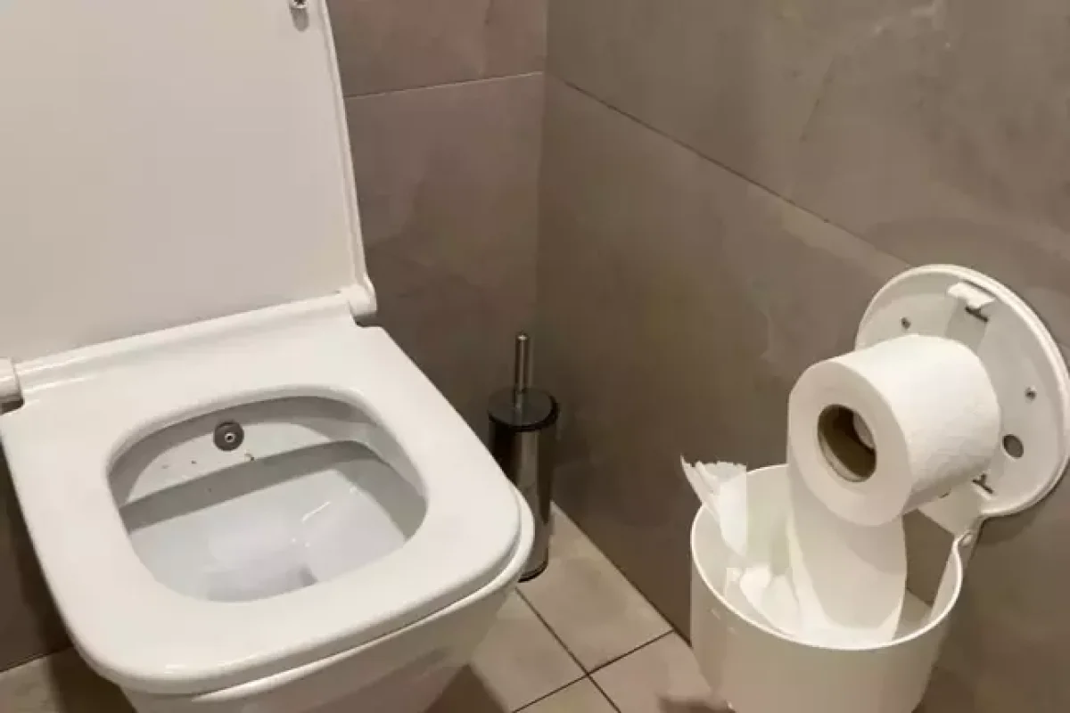 14 yaşlı qız uşaq dünyaya gətirdi, - körpəni tualetə atdı