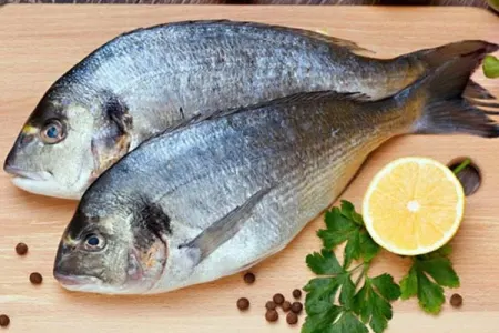 Balıq istehlakı infarkt riskini - azalda bilər