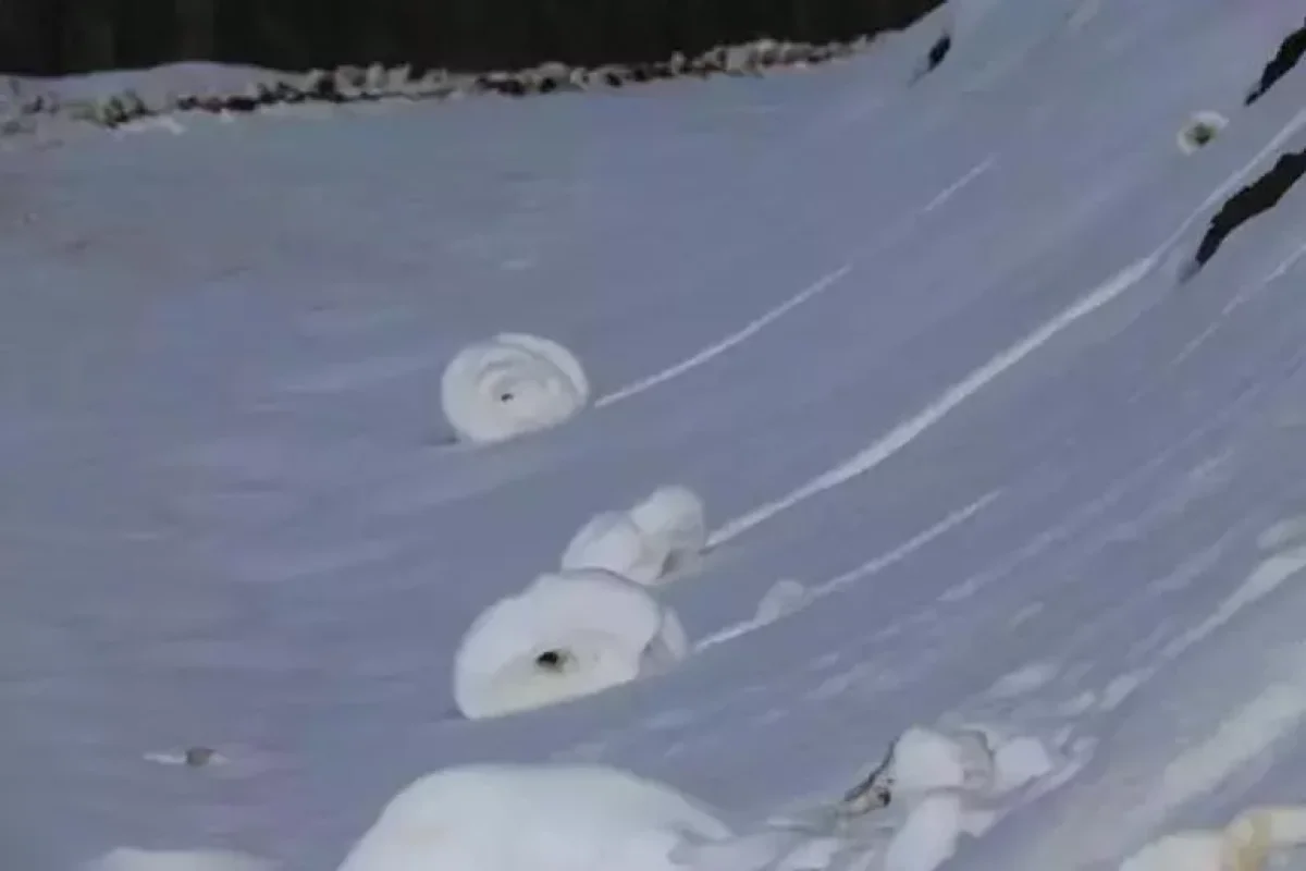 İnsan əli dəyməmiş bölgə: Qar yumaqları görənləri heyrətləndirdi - FOTO