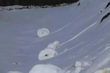 İnsan əli dəyməmiş bölgə: Qar yumaqları görənləri heyrətləndirdi - FOTO