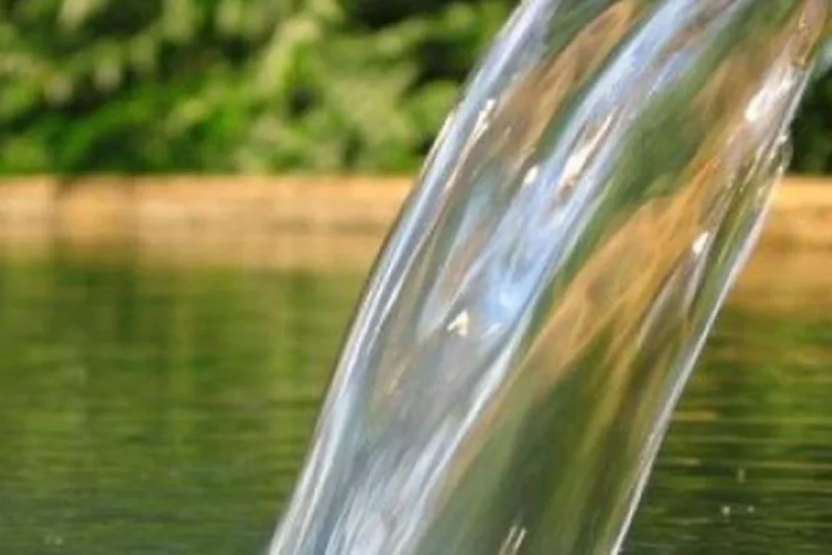 Sudan qanunsuz istifadəyə görə cərimələr sərtləşdiriləcək