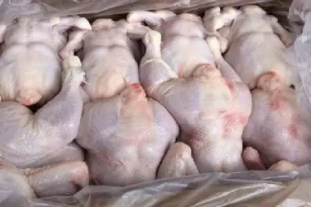 Bu toyuqları almayın! - Görün nə yedizdirilir