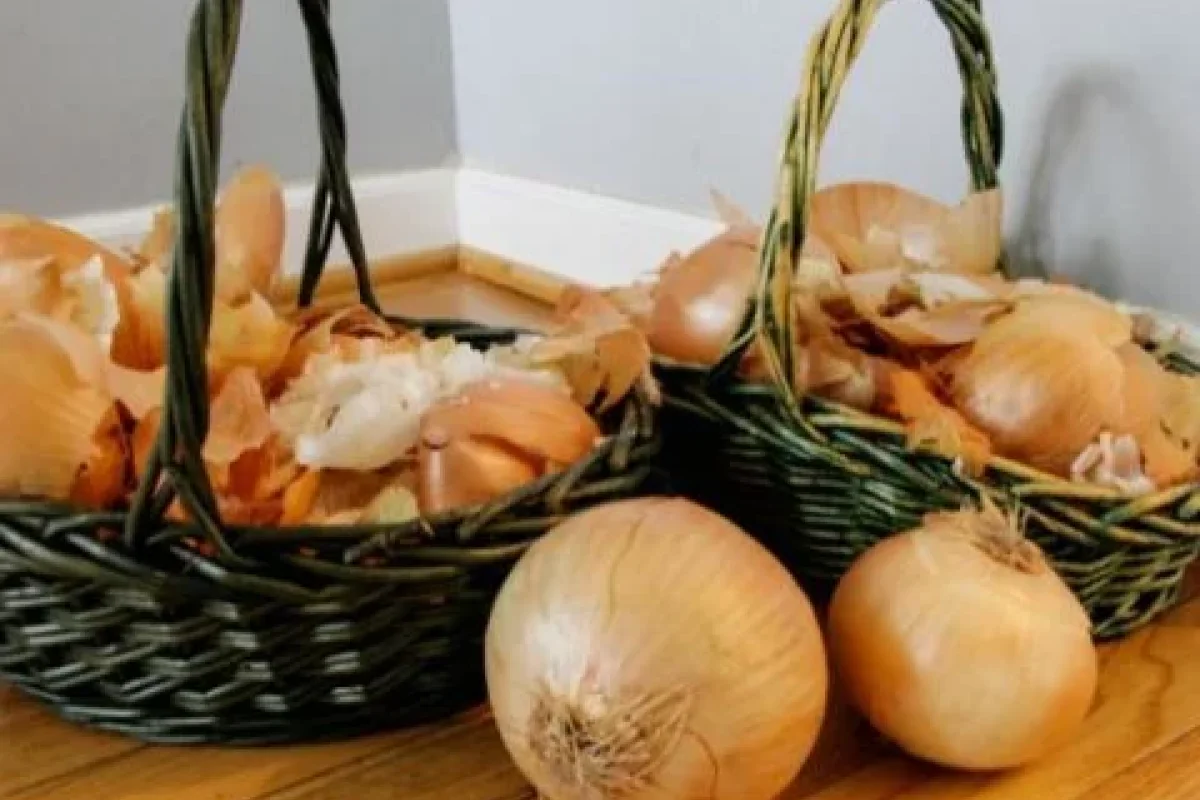 Soğan qabıqlarını bu cür - İSTİFADƏ EDİN
