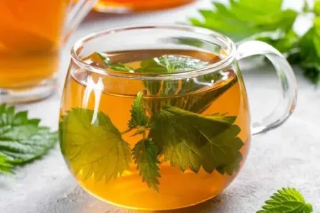 Bitkisinə əl vurmaq olmur, ancaq çayı çox faydalıdır