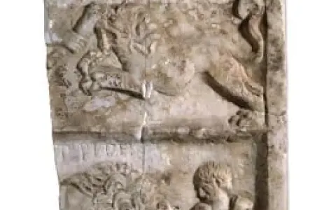 İnsanlar və heyvanlar arasında qladiator döyüşünün İLK SÜBUTU