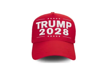 Papağı ilə dünyaya - mesaj ötürdü