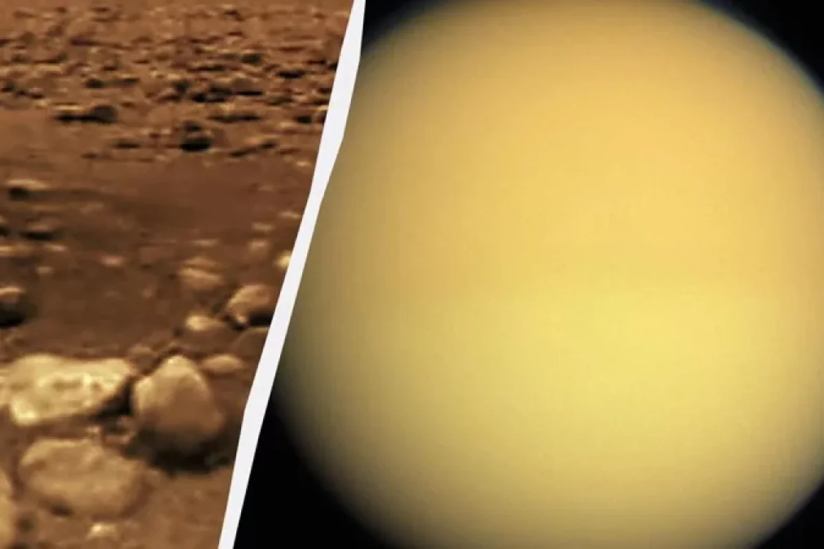 Ümidləri puç edən tədqiqat