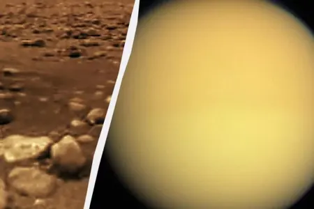 Ümidləri puç edən tədqiqat