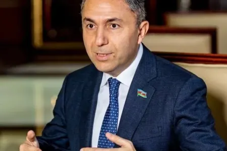 Tahir Mirkişilinin möcüzəvi "besedka"sı - FOTO