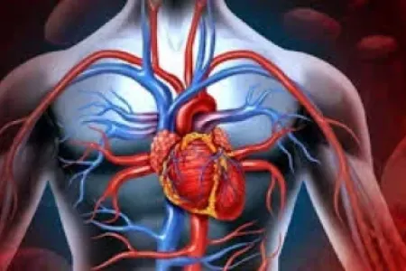 Bu, ürək xəstəliyinin əlaməti ola bilər