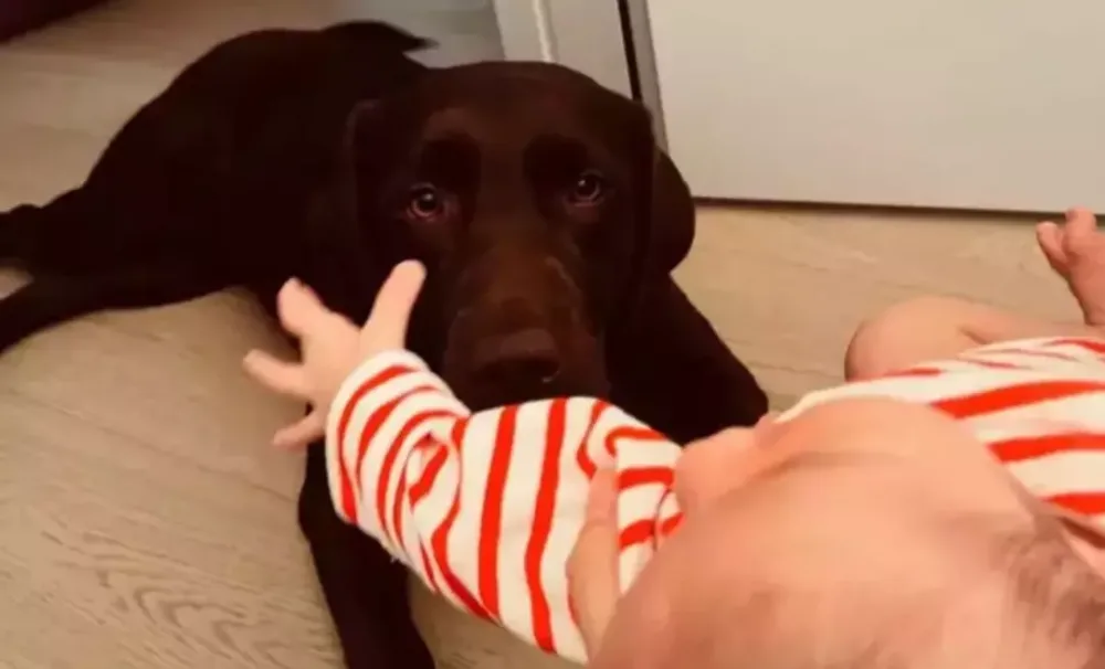 Pınar Dəniz ilk dəfə oğulları Fikrət Hakanı paylaşıb