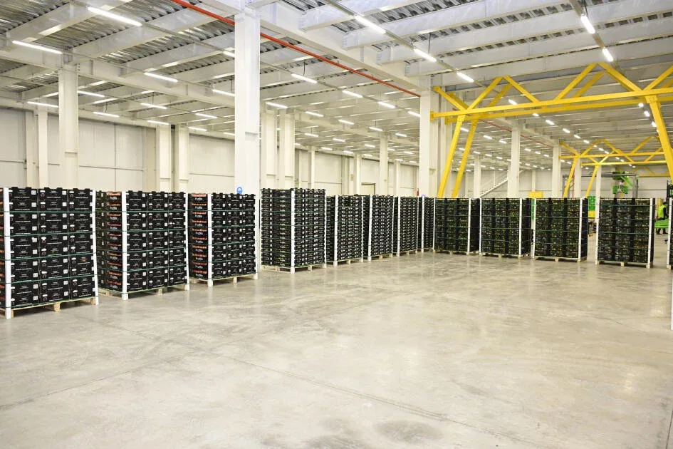 İlham Əliyev Qusara getdi - FOTO