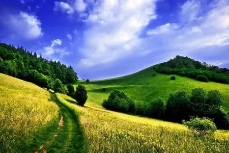 Mayın ilk gününün - HAVASI