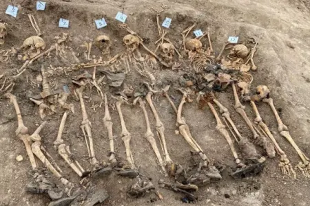 Xocalıda 7 itkin mülki şəxsə aid meyit qalıqları tapıldı