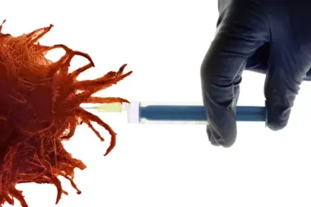 Super iynə… - Xərçəngə qarşı peyvənd istehsal edilir