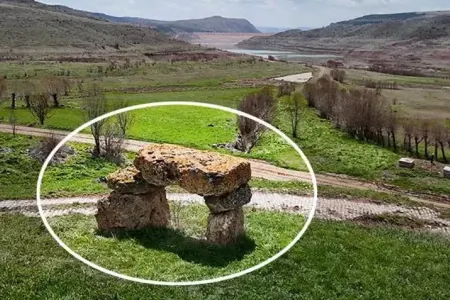 İlk dəfə görənlər qorxur! - FOTO