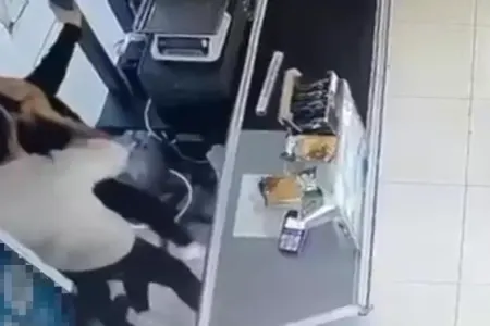 Həmkarını vurdu