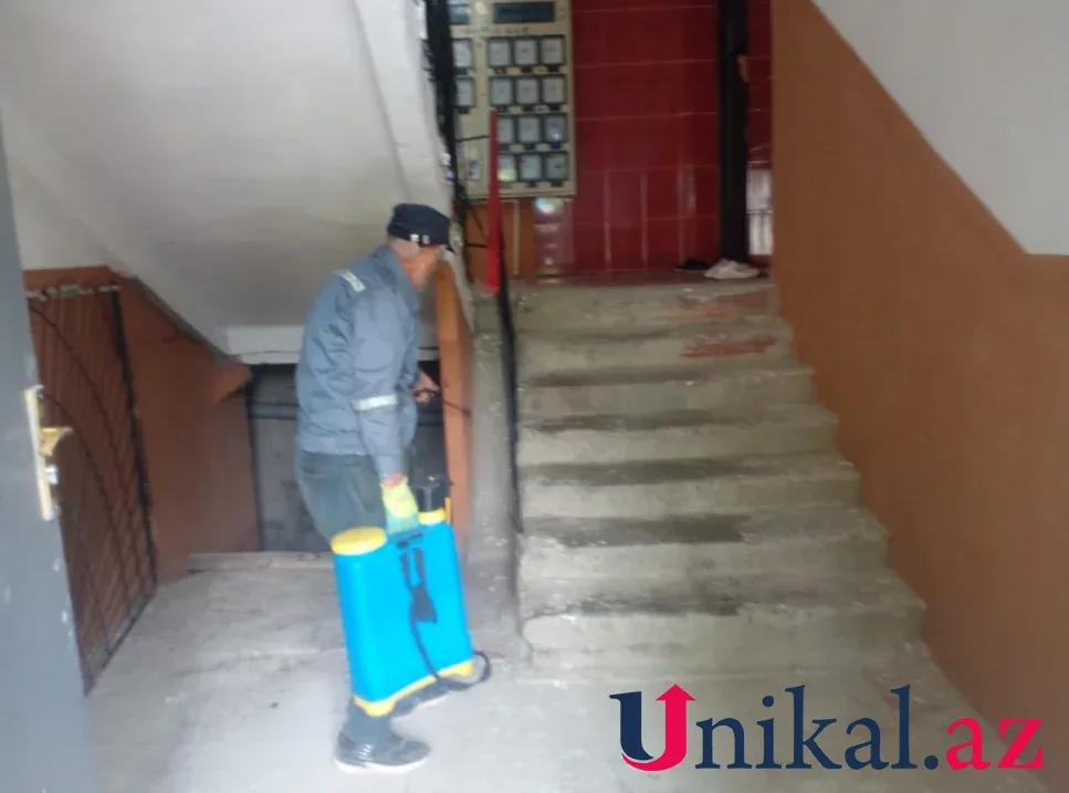 Mingəçevirdə binanın blokundan gürzə çıxdı - FOTOlar