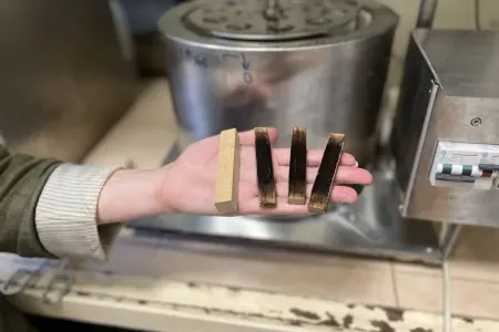 Alimlər ağacdan implant düzəltməyə başlayırlar