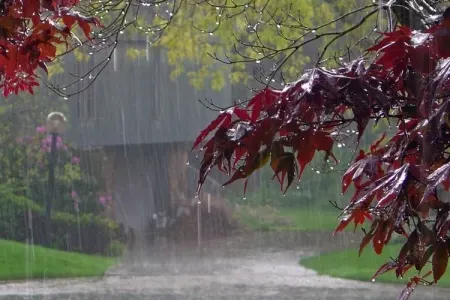 Bazar günü leysan yağacaq