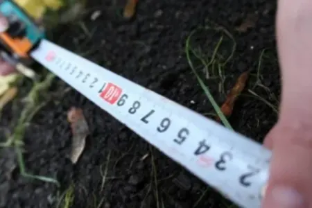 Azərbaycanda növbəti torpaq hərracı elan edildi