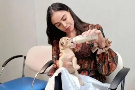 Leyla Əliyevanın şir balası ilə maraqlı - GÖRÜNTÜSÜ