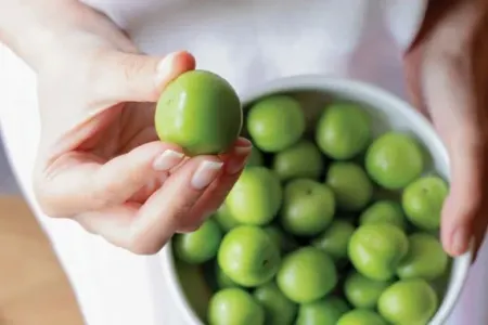 Alçanı duzlayıb yeyənlərə vacib xəbərdarlıq