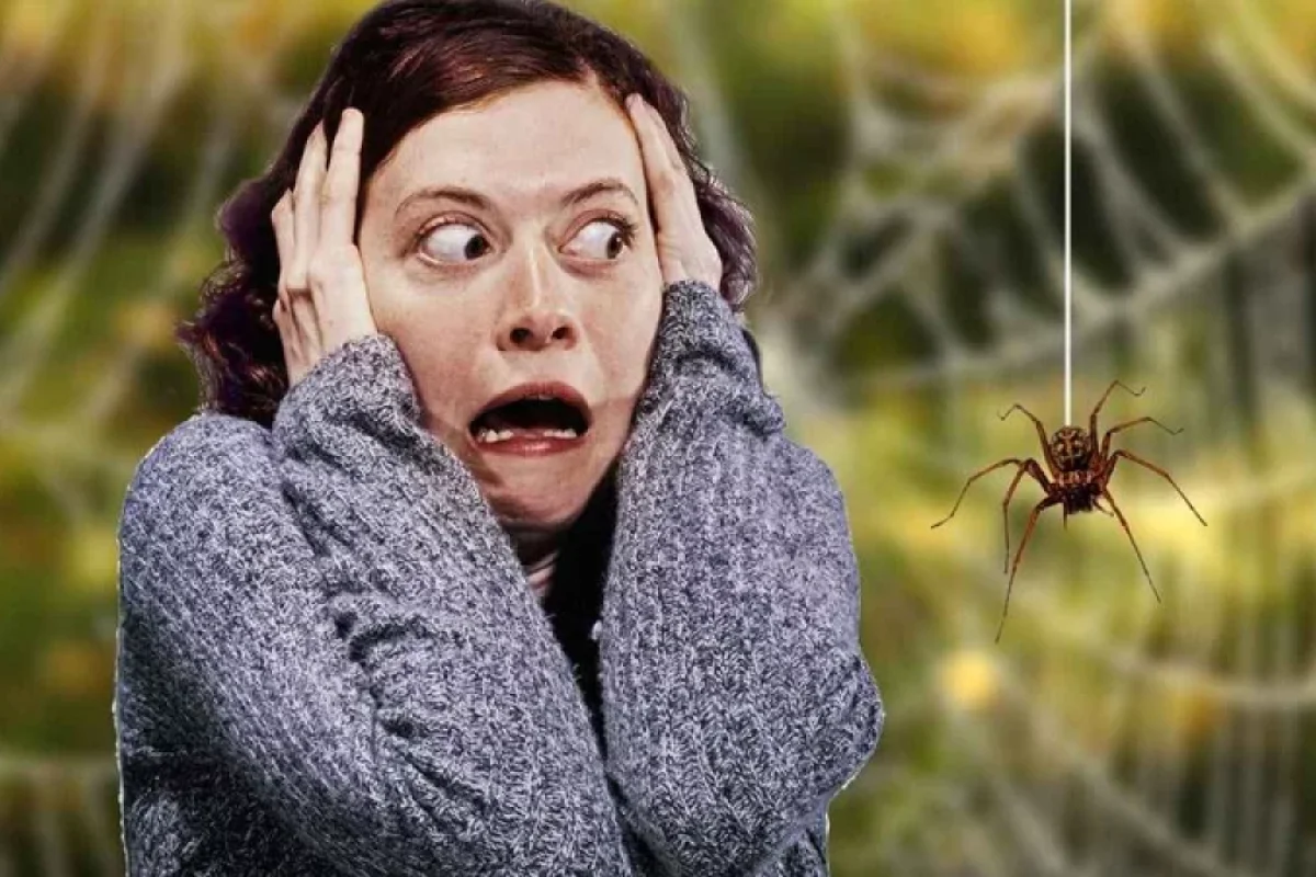 Həşərat qorxusu: Necə xilas olaq?