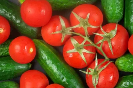Pomidor və xiyarlar nə üçün dadsızdır?