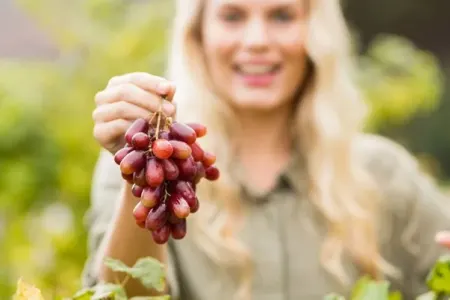 Bu şəxslərə üzüm yemək - OLMAZ