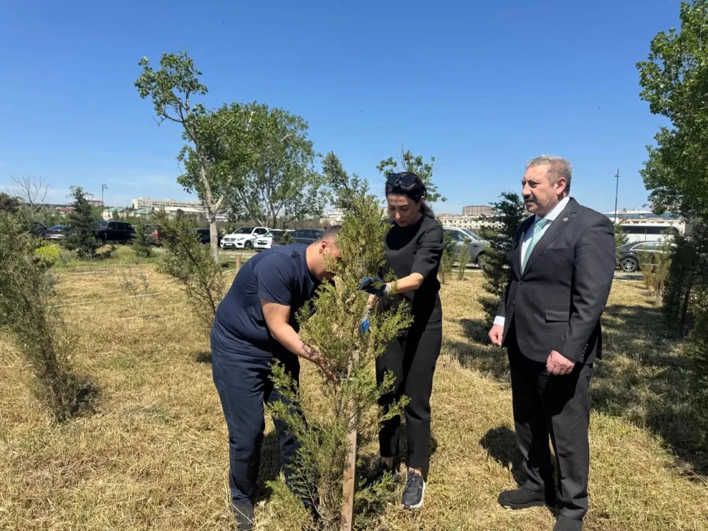 Səbinə Əliyevanın iştirakı ilə ağacəkmə aksiyası təşkil edildi