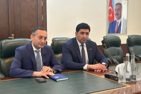 Anar Osmanlı beynəlxalq görüşdə iştirak etdi