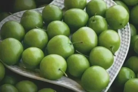 Alça kimlərə olmaz?