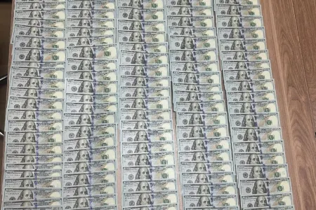 Bir evdən 22 min dollar oğurlandı