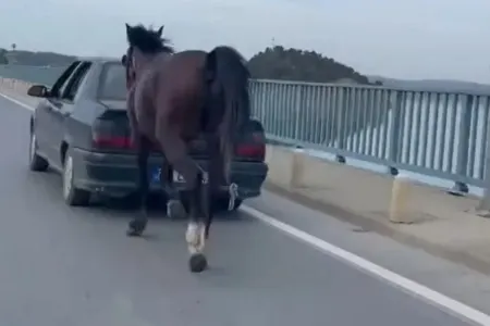 Ağlasığmaz OLAY: Atı maşının arxasına bağlayıb...