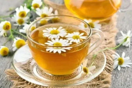 Hər gün bir fincan - Çobanyastığı çayının faydaları