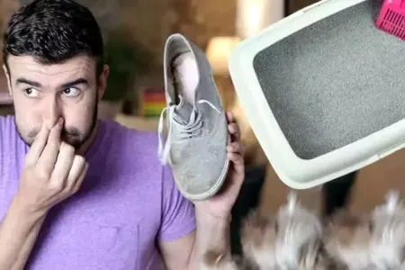 Ayaqqabısına pişik qumu səpdi: - Nəticə inanılmazdır