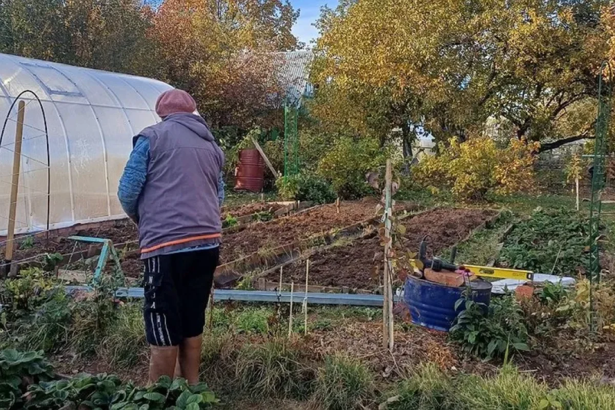 Mayın 15-dən torpaqlar müsadirə olunacaq - Bu sənədlər tələb OLUNUR