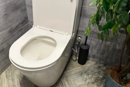 Tualetə 5 qaşıq tökün: - Xoşagəlməz qoxular həmin an MƏHV OLACAQ