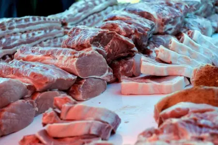 Rusiyalı alimlər 3D printerdə əsl ət çap ediblər