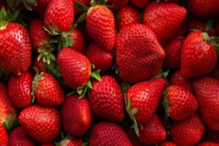 Çiyələyin çürüməsinin qarşısını necə almaq olar?