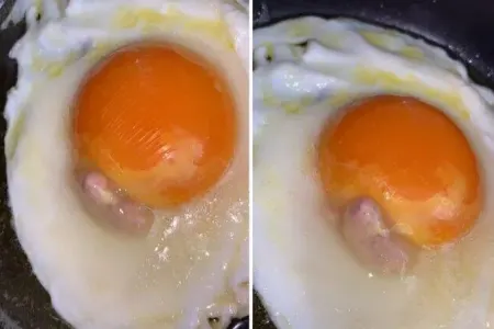 Bu xəbərdən sonra yumurtanın ağını yeməyəcəksiz