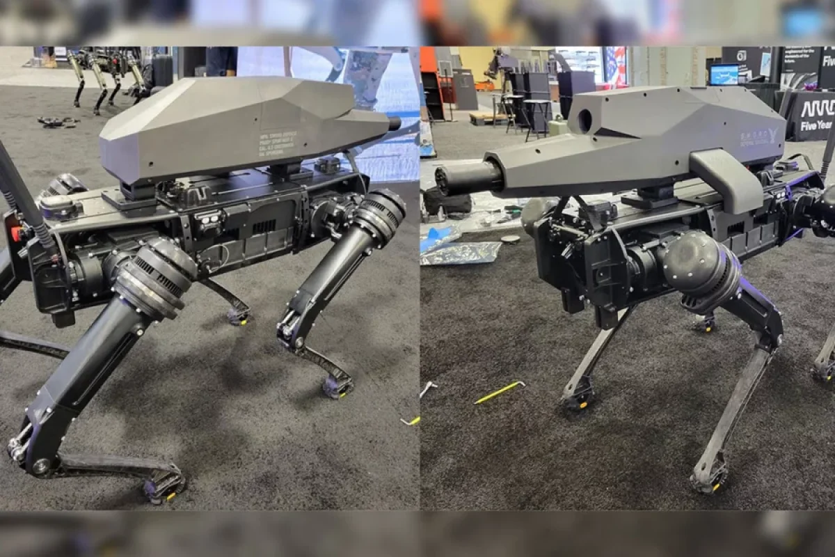 Küçədə robot it gəzdirirdilər - VİDEO