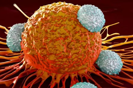 Qadınlar kişilərdən iki dəfə çox özlərini - xərçəngdən sığortalaya bilirlər