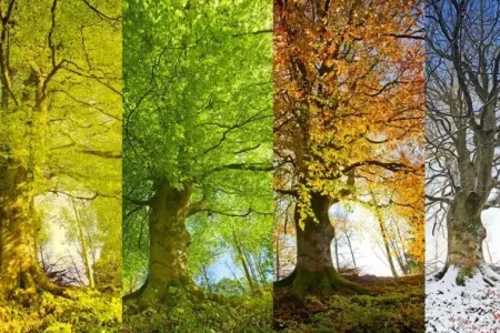 Hava ilə bağlı yeni xəbərdarlıq - – Oktyabrın 15-nə qədər…