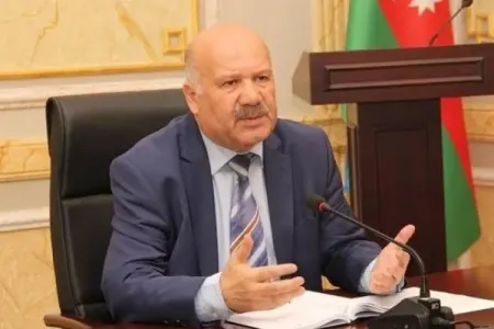 "Hörmətli səhiyyə naziri, bir dənə Lor yoxdur" - Səyyad Salahlı