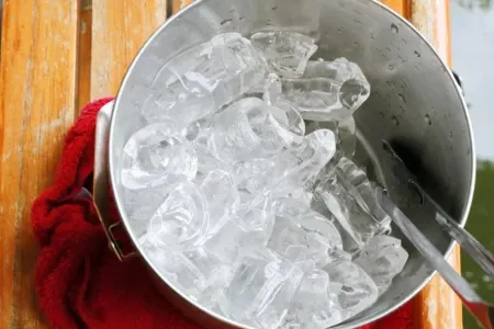 Saxsılara buz qoyun - Bitkilər üçün...