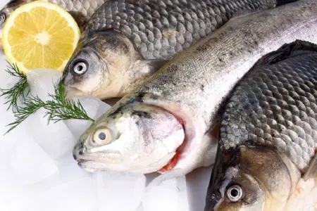 Balığın Zibilə Atdığınız Bu Hissələri Ən Faydalıdır